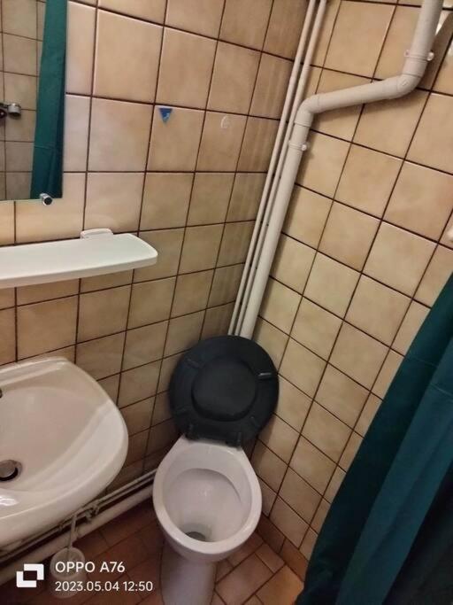 Le Nid Douillet Industriel Apartamento La Bourboule Exterior foto